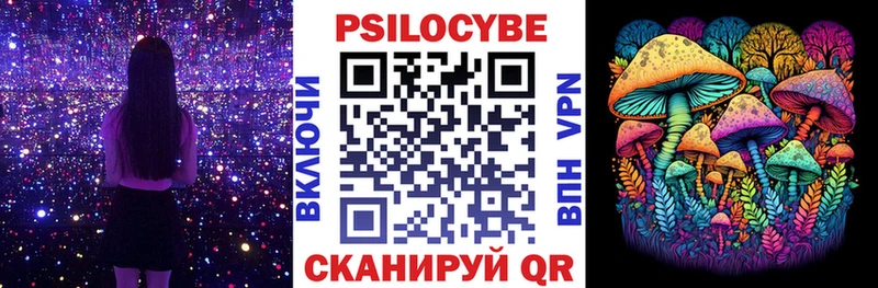 Купить закладки  Йошкар-Ола  Псилоцибиновые грибы прущие грибы 